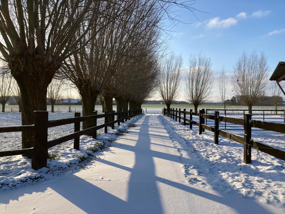 De Burkelhoeve Appc Maldegem Exteriér fotografie