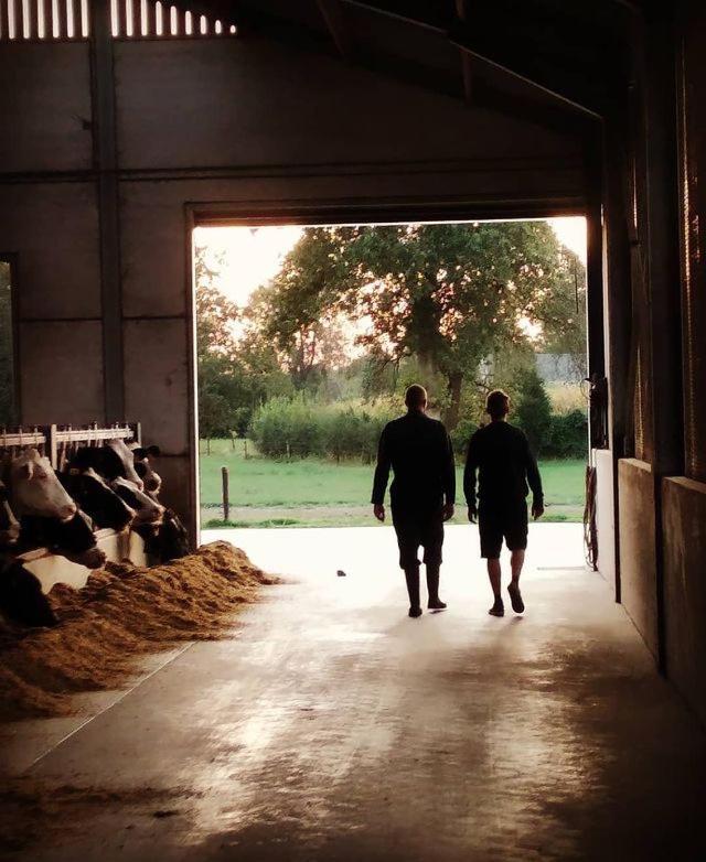 De Burkelhoeve Appc Maldegem Exteriér fotografie