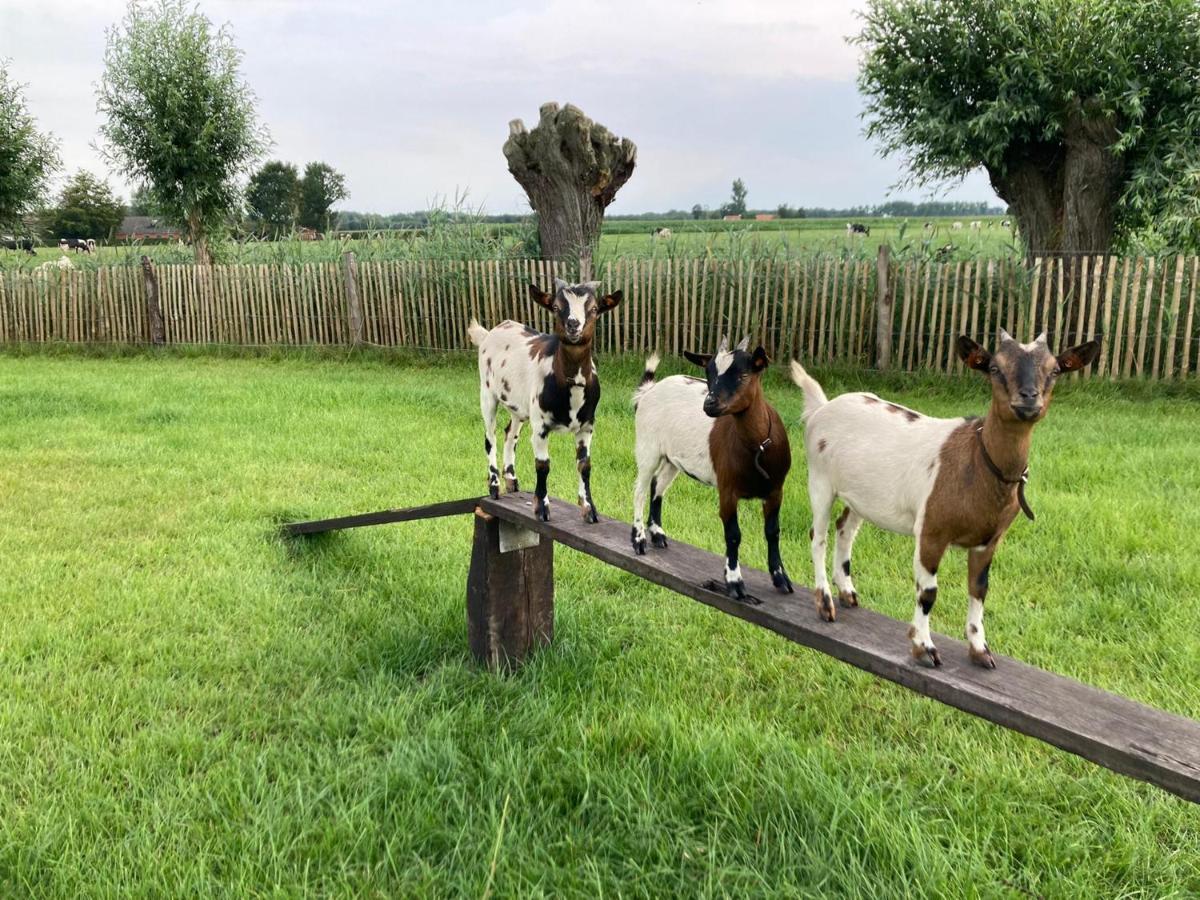 De Burkelhoeve Appc Maldegem Exteriér fotografie